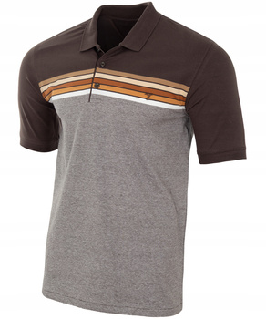 Koszulka męska polo brązowo-szara paski kolorowe dekolt z guzikami kołnierz wiosenna - Reymo