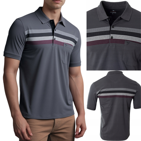 Koszulka męska polo ciemno-szary w paski bawełniana dekolt z guzikami kołnierz wiosenna - Reymo