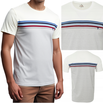 Koszulka męska t-shirt biało-szara paski dekolt pod szyję - Reymo